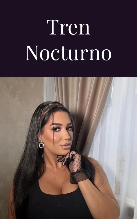 Tren nocturno