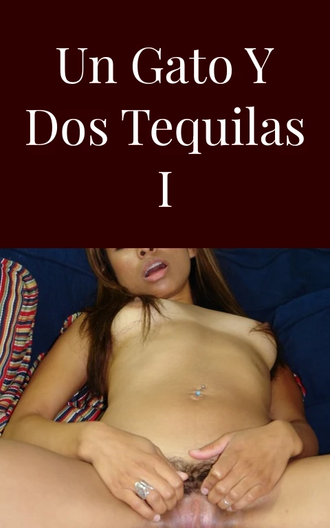 Un gato y dos tequilas I
